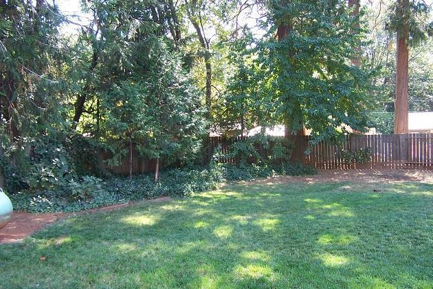 5922 Pond Dr, Foresthill, CA 95631 photo 13