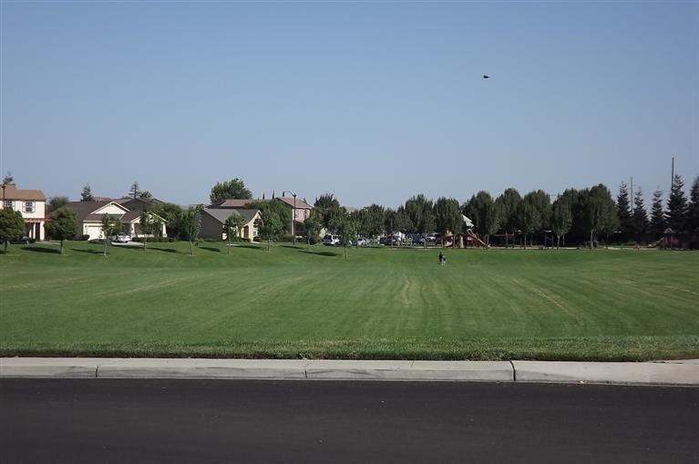 1304 Gianna Ln, Manteca, CA 95336 photo 15