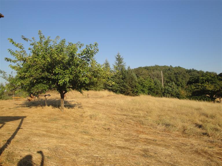 1821 Shaver Rd, Cool, CA 95614 photo 3