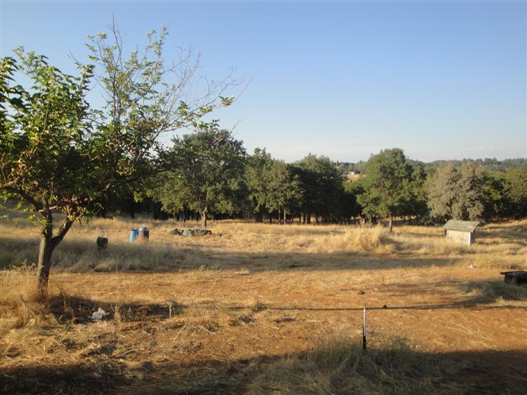 1821 Shaver Rd, Cool, CA 95614 photo 4