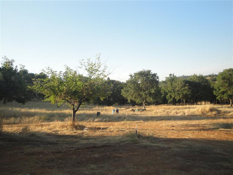 1821 Shaver Rd, Cool, CA 95614 photo 5