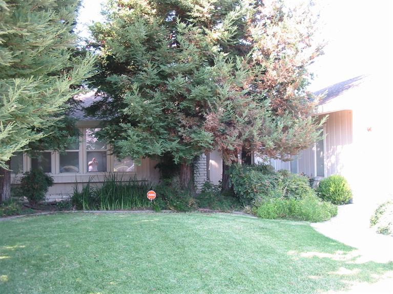 2409 Mauna Kea Dr, Ceres, CA 95307 photo 2