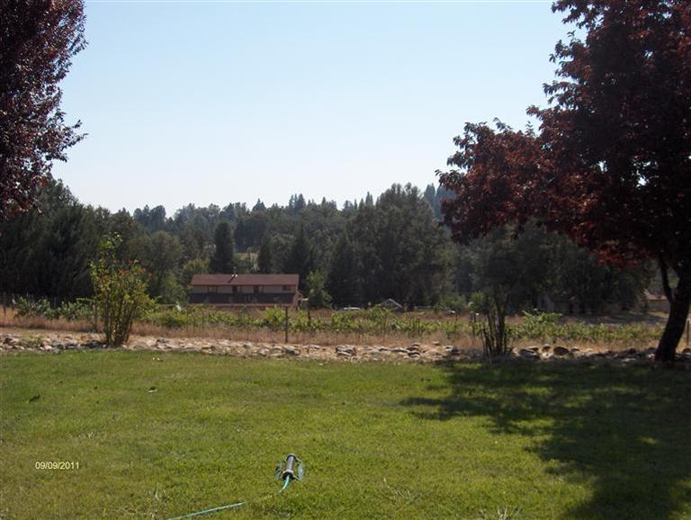 3559 Alameda Ct, Placerville, CA 95667 photo 9