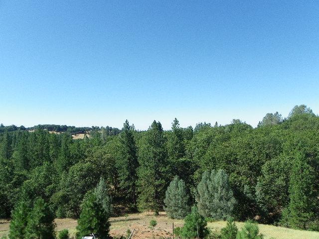 2977 Springer Rd, Placerville, CA 95667 photo 9
