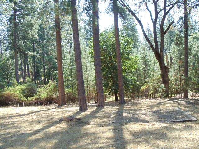 5732 Silverleaf Dr, Foresthill, CA 95631 photo 12