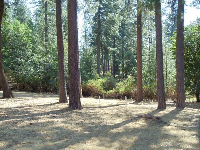 5732 Silverleaf Dr, Foresthill, CA 95631 photo 11