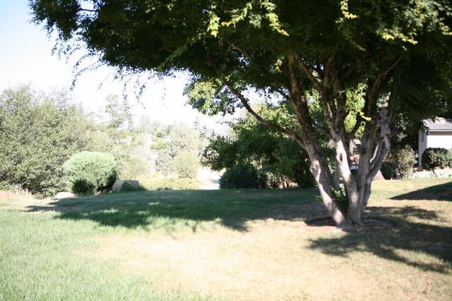 7470 Winter Ln, Placerville, CA 95667 photo 3