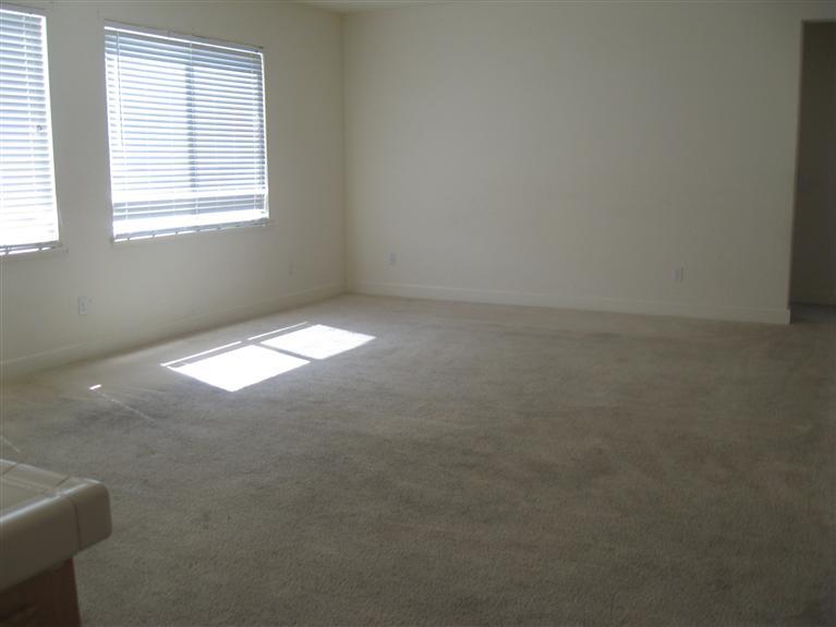 1530 Marigold Dr, Patterson, CA 95363 photo 10