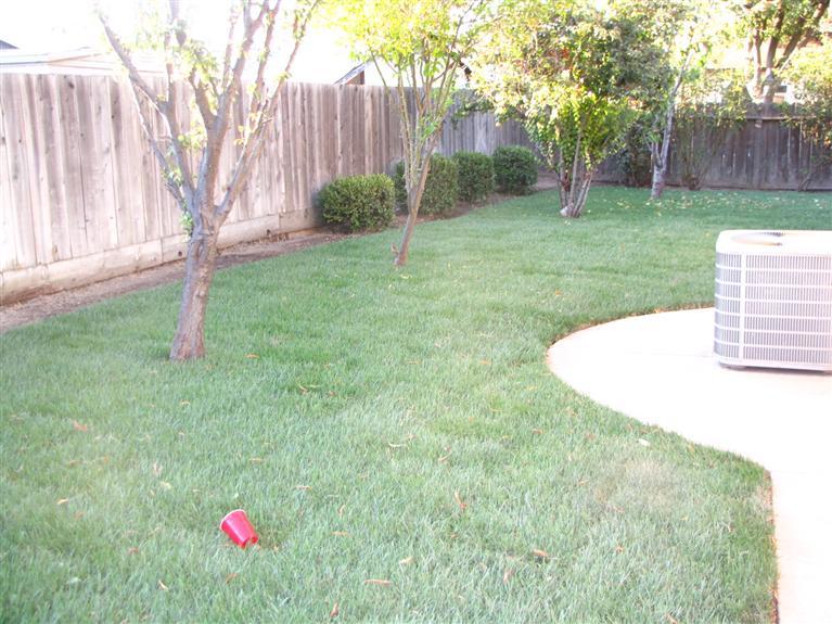 16401 Warfield Rd, Lathrop, CA 95330 photo 13