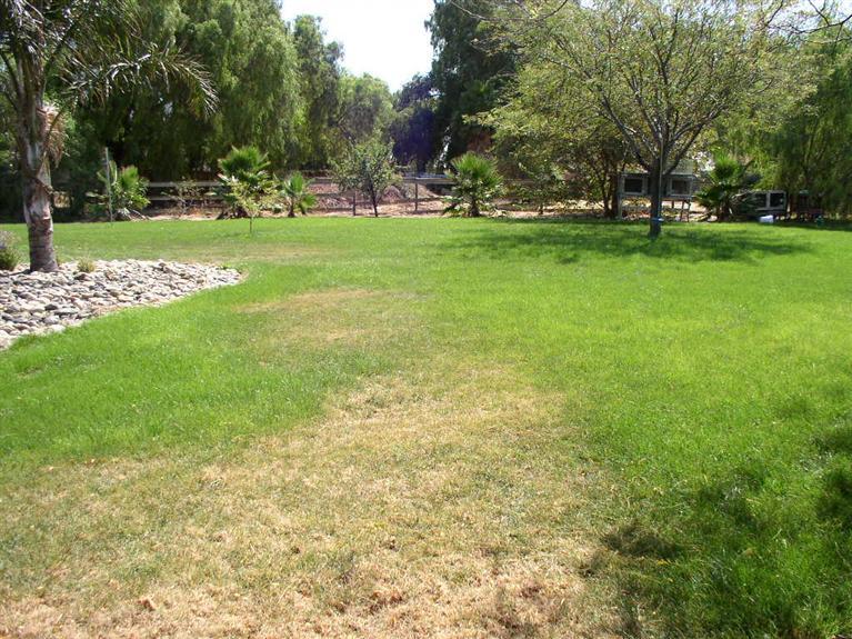 23254 Currier Dr, Tracy, CA 95304 photo 25