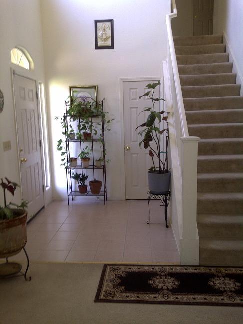 2859 Malik Ave, Ceres, CA 95307 photo 6