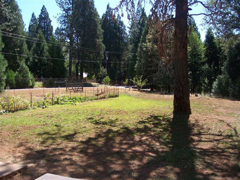 2820 Quiet Pl, Georgetown, CA 95634 photo 14