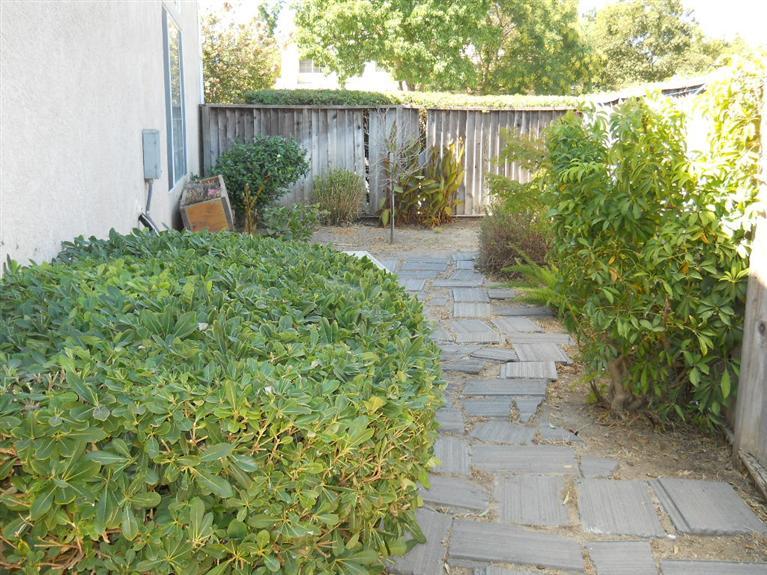 1382 Egret Dr, Tracy, CA 95376 photo 15