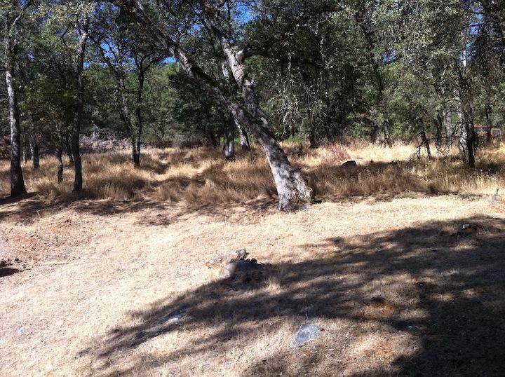 12450 Creek Vw, Grass Valley, CA 95949 photo 3