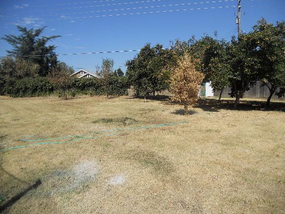 2121 Olive Branch Dr, Modesto, CA 95351 photo 13