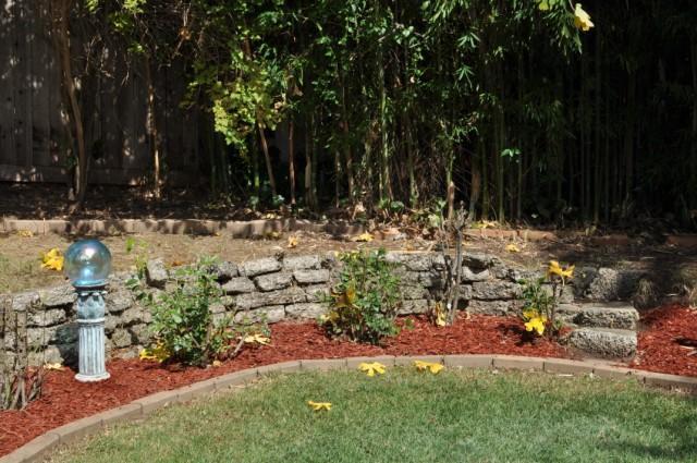 8169 Monte Park Ave, Fair Oaks, CA 95628 photo 22