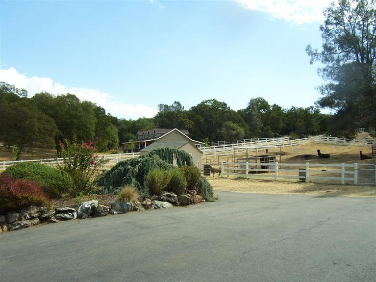 4860 Woodsman Loop, Placerville, CA 95667 photo 18