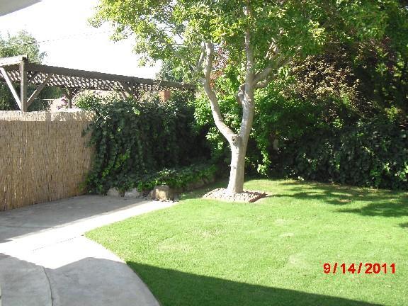 945 S Crescent Ave, Lodi, CA 95240 photo 13