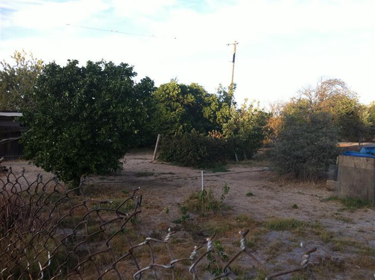 31322 S Koster Rd, Tracy, CA 95304 photo 13