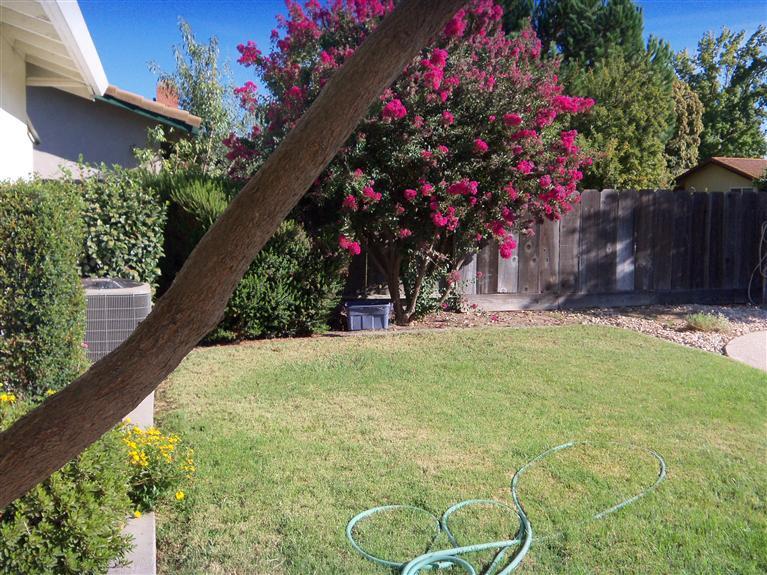 3400 Stanley Ave, Turlock, CA 95382 photo 17