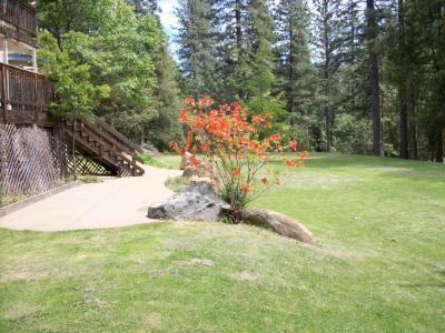 6641 Log Cabin Ln, Placerville, CA 95667 photo 5