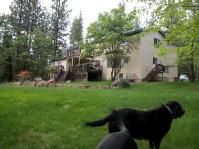 6641 Log Cabin Ln, Placerville, CA 95667 photo 3