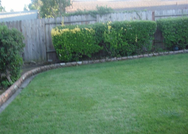 6004 Denver Dr, Carmichael, CA 95608 photo 15