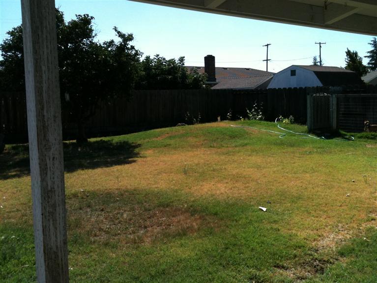 20177 1st St, Hilmar, CA 95324 photo 2