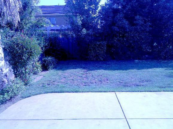 5342 Ione St, Linden, CA 95236 photo 11