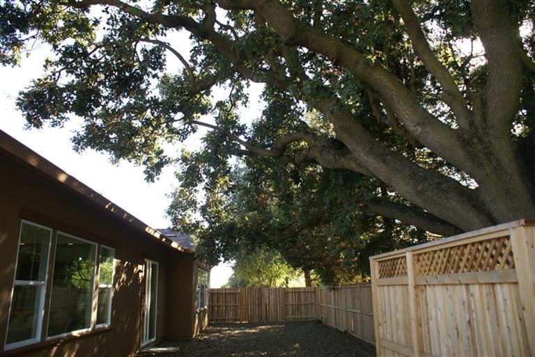 4357 Mahogany Ln, Davis, CA 95618 photo 5