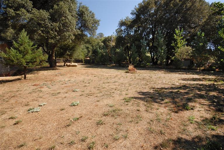 19960 Meadowood Dr, Jackson, CA 95642 photo 21