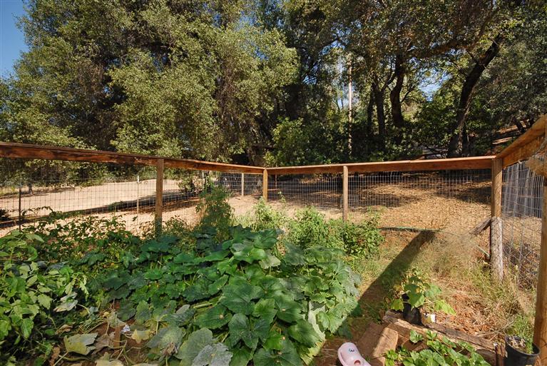 19960 Meadowood Dr, Jackson, CA 95642 photo 15