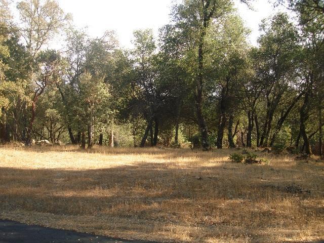 23305 Cottage Hill Rd, Grass Valley, CA 95949 photo 13