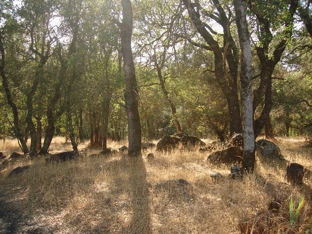 23305 Cottage Hill Rd, Grass Valley, CA 95949 photo 9