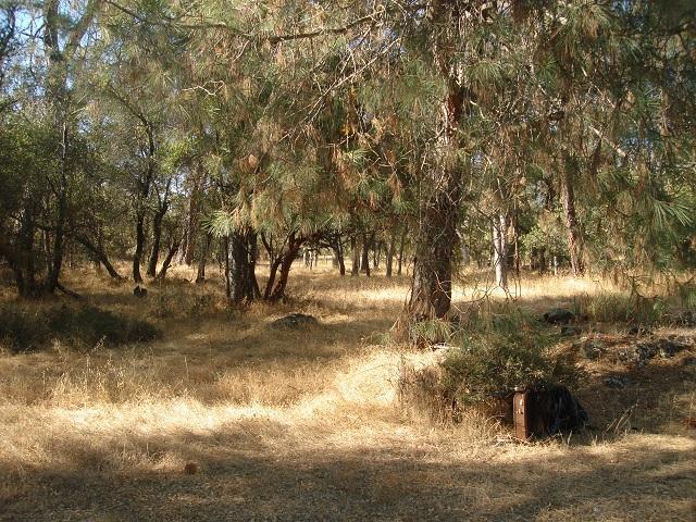 23305 Cottage Hill Rd, Grass Valley, CA 95949 photo 19