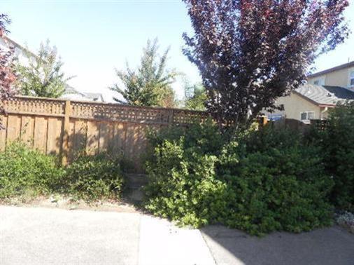 4187 Ivory Ln, Turlock, CA 95382 photo 19