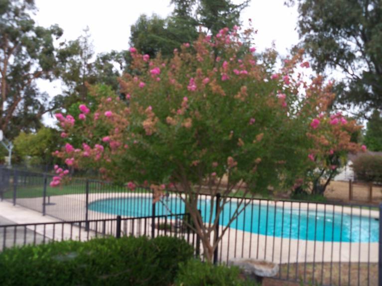 11657 Rising Rd, Wilton, CA 95693 photo 25