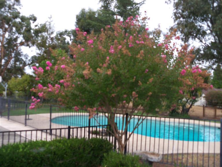 11657 Rising Rd, Wilton, CA 95693 photo 21