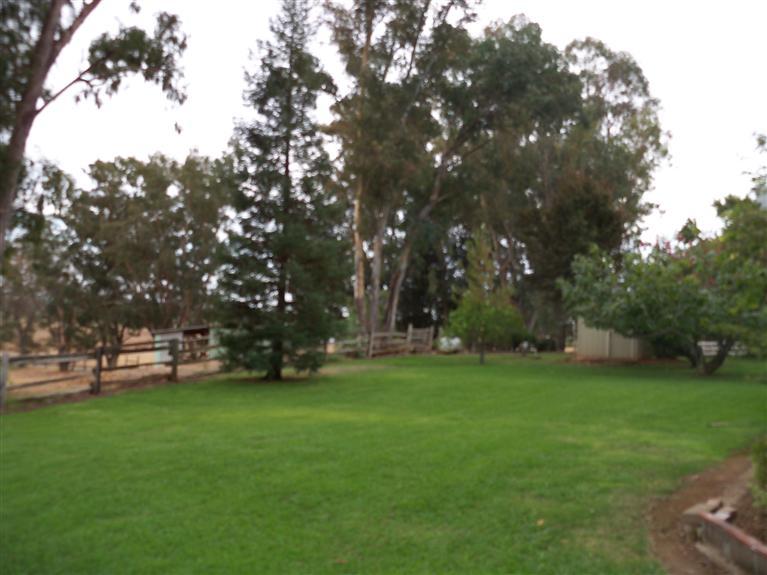 11657 Rising Rd, Wilton, CA 95693 photo 22