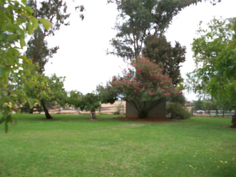 11657 Rising Rd, Wilton, CA 95693 photo 14