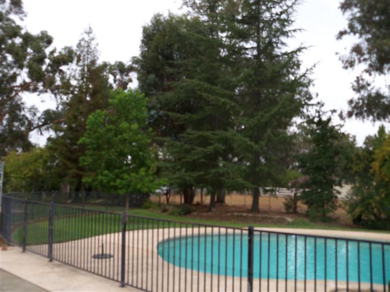 11657 Rising Rd, Wilton, CA 95693 photo 20