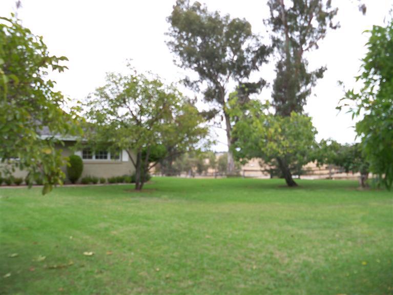 11657 Rising Rd, Wilton, CA 95693 photo 16