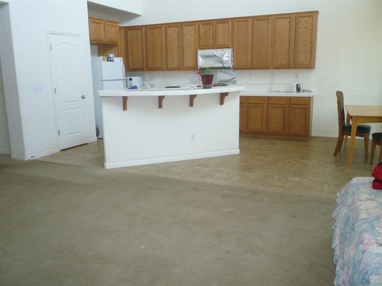 17972 Rusty Plow Ln, Lathrop, CA 95330 photo 4