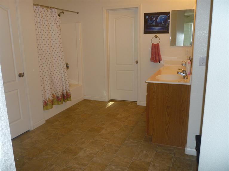17972 Rusty Plow Ln, Lathrop, CA 95330 photo 6