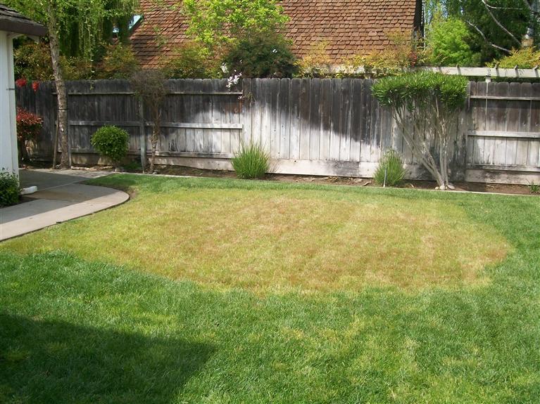2425 Woodvale Dr, Modesto, CA 95355 photo 3