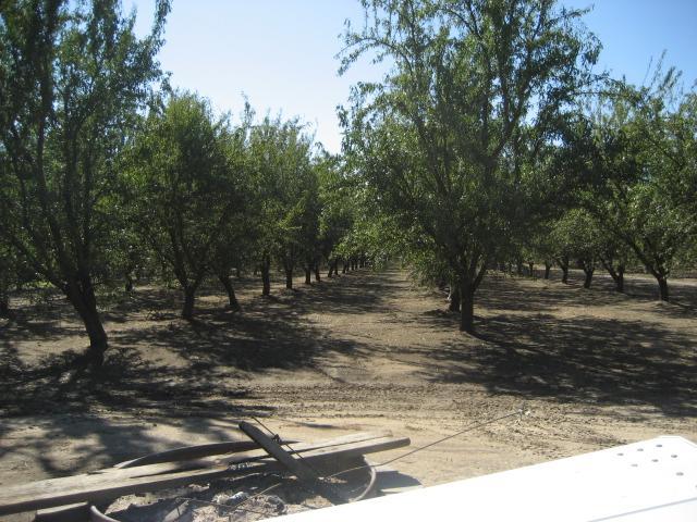 8300 E Lathrop Rd, Manteca, CA 95336 photo 12
