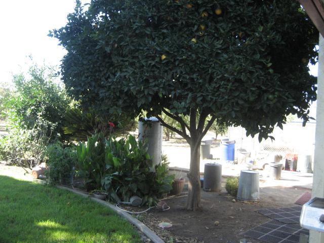 8300 E Lathrop Rd, Manteca, CA 95336 photo 11