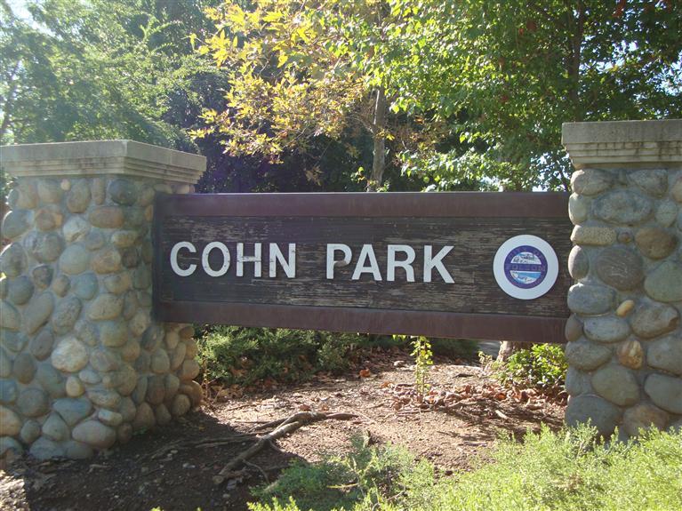 1157 Cobble Fields Ct, Folsom, CA 95630 photo 15
