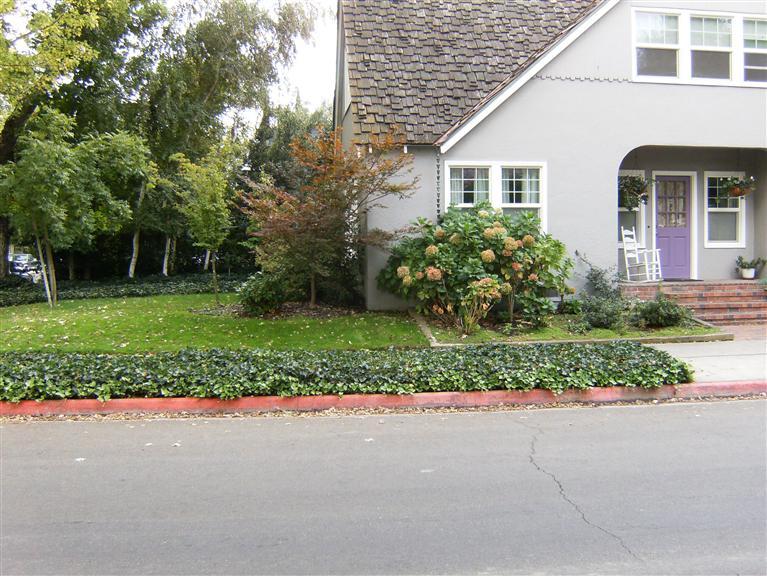 445 Myrtle Ave, Modesto, CA 95350 photo 6