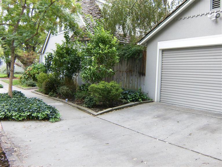 445 Myrtle Ave, Modesto, CA 95350 photo 5